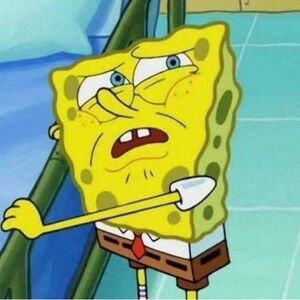 Meet your Posher, Ty